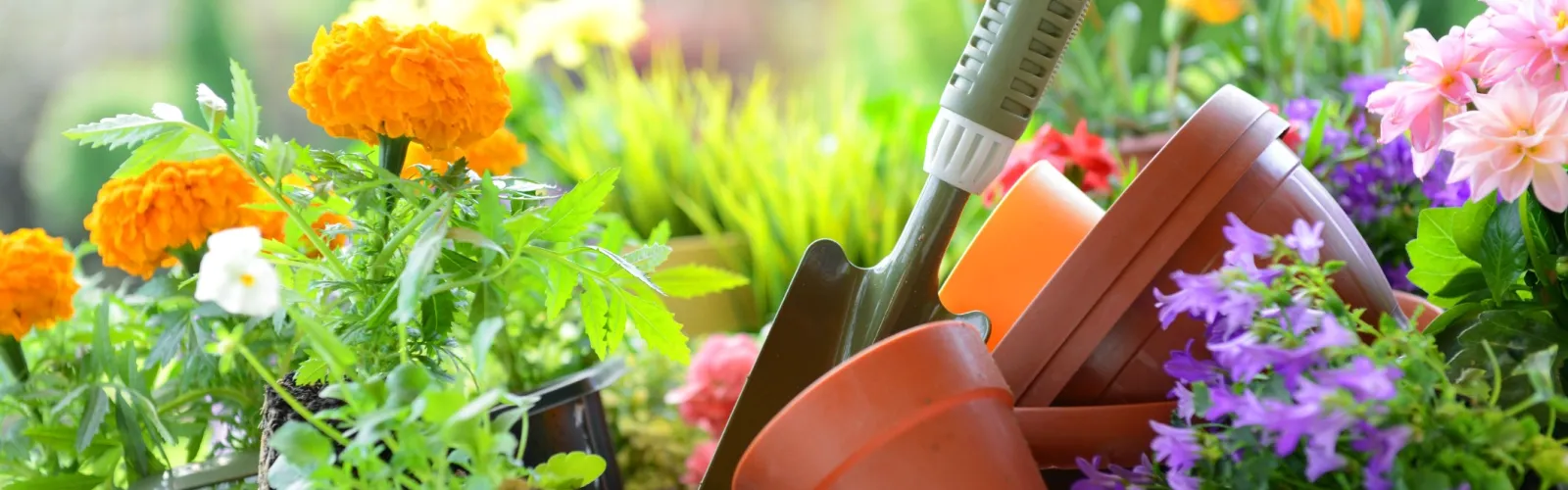 a knife and flowers