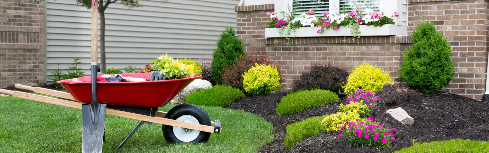 a perfect landscape with shrubs and flowers