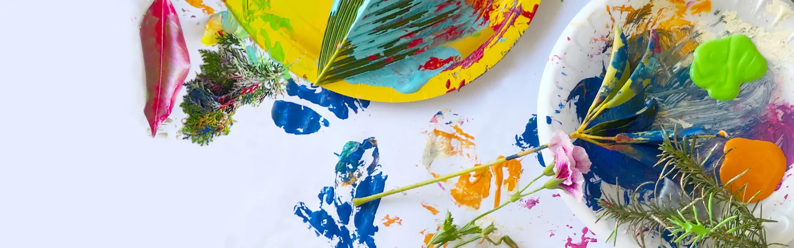 a plate full of colorful flowers