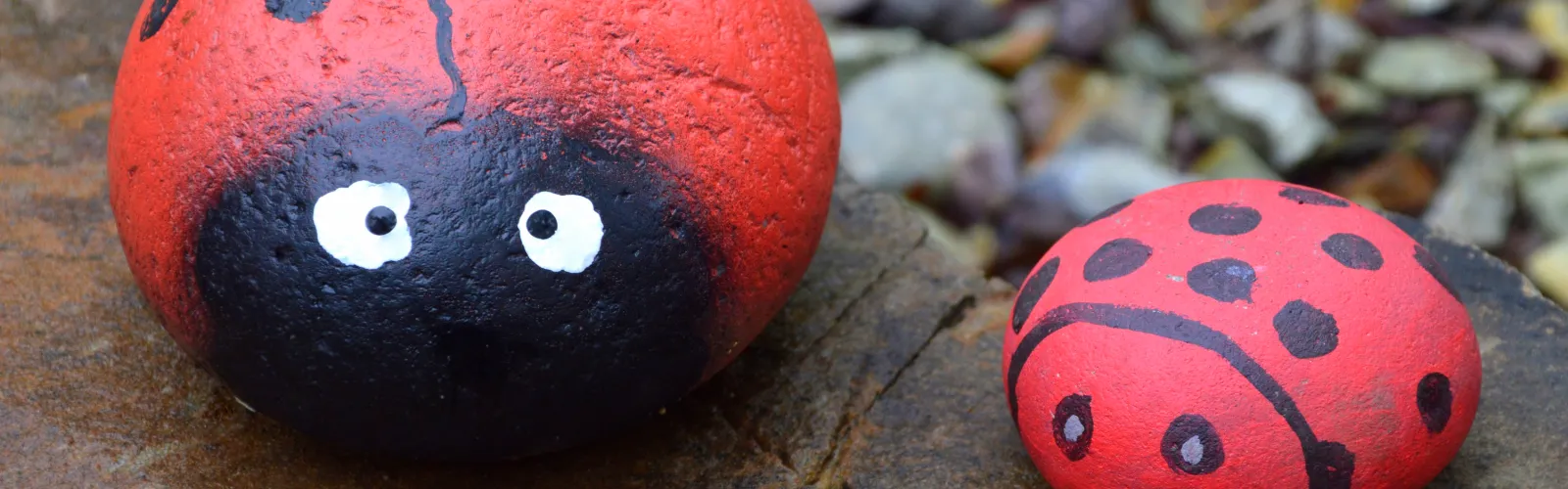 ladybug rocks