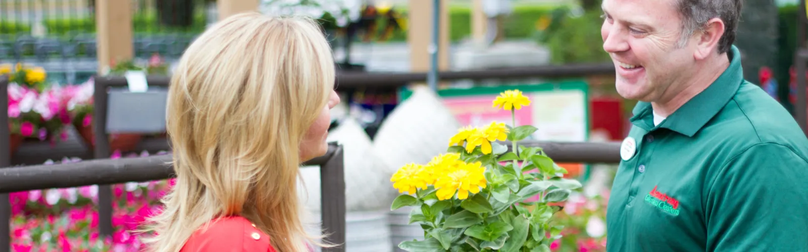 a person holding a flower