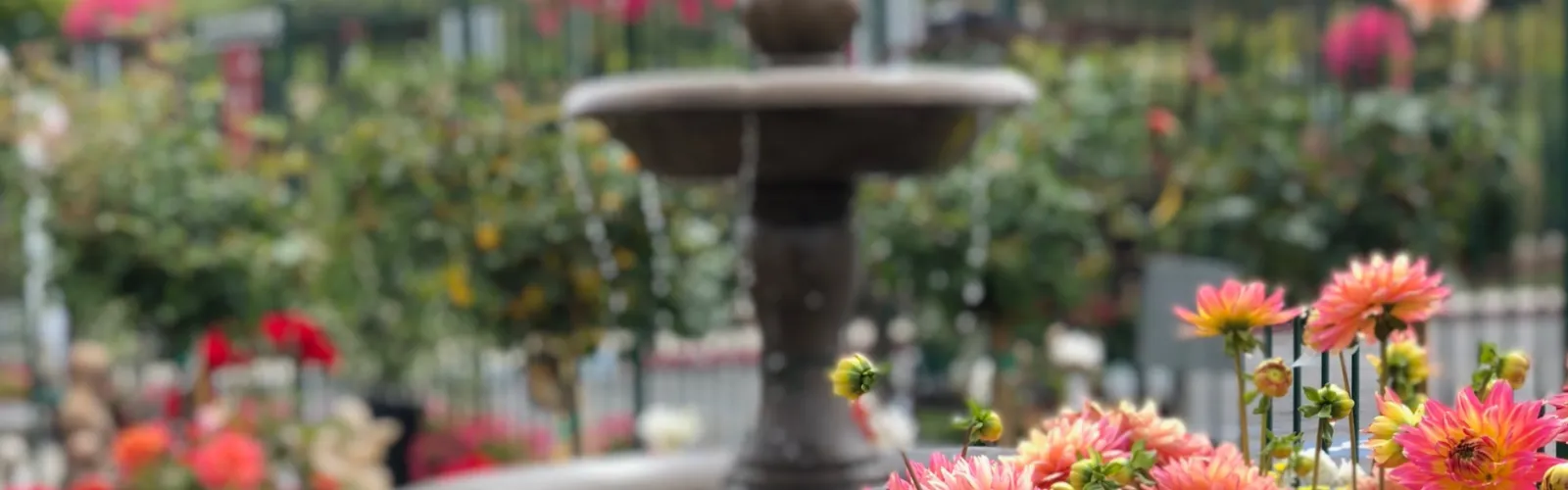 Large tired fountain at Armstrong with flowers in front