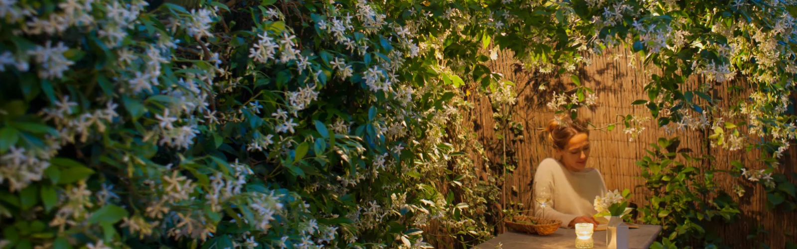 Moon Garden with blooming vines